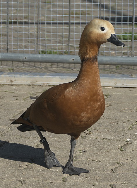 解决内部问