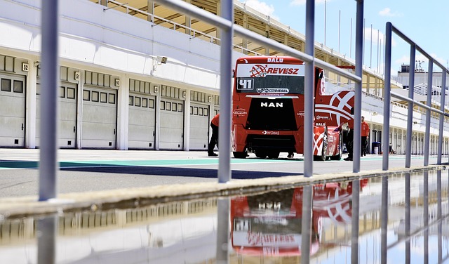 的此次选拔 的此次选拔