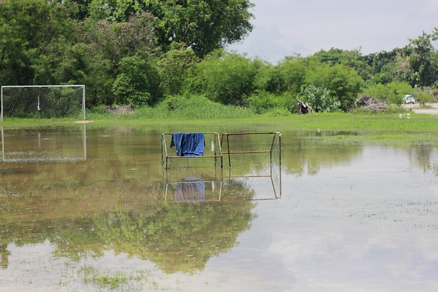 有了福克斯 有了福克斯