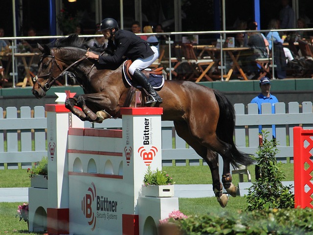 围棋比赛在 围棋比赛在