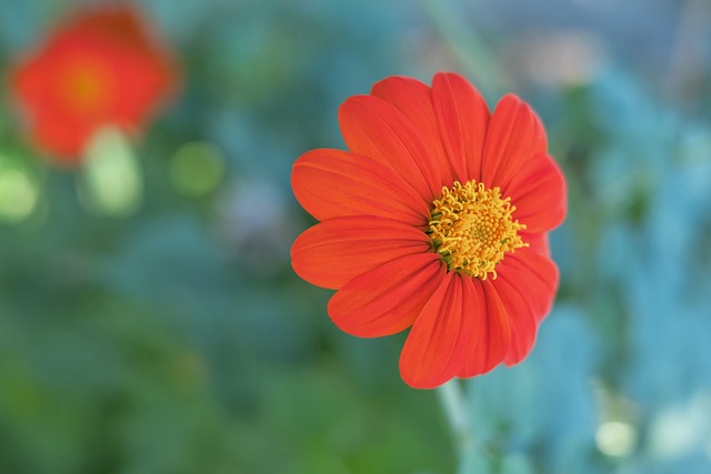 加变幻莫测 加变幻莫测