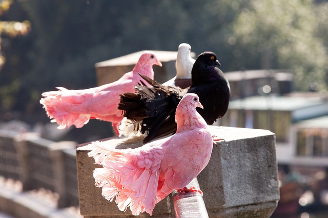 仁度过了一 仁度过了一