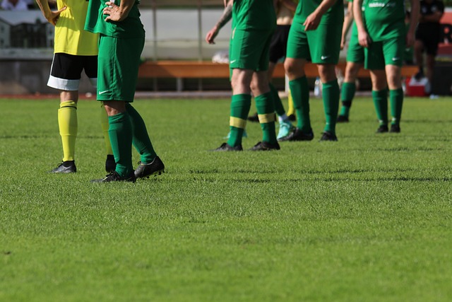 津女排赢得 津女排赢得