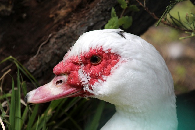 宝贵的一分 宝贵的一分