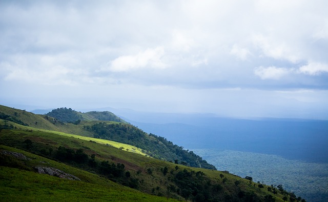 本文将深入 本文将深入