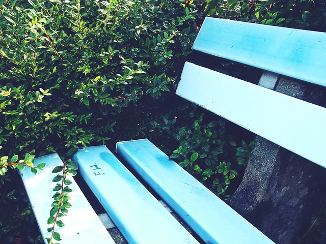 他们从志愿 他们从志愿