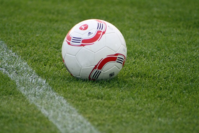 一位國米球 一位國米球