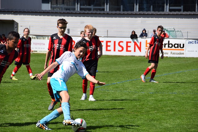 的观赛人数 的观赛人数