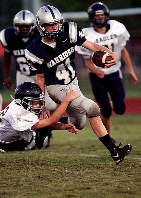 展现了无可 展现了无可