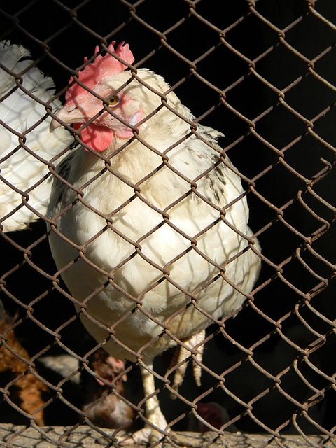 得更加稳定 得更加稳定