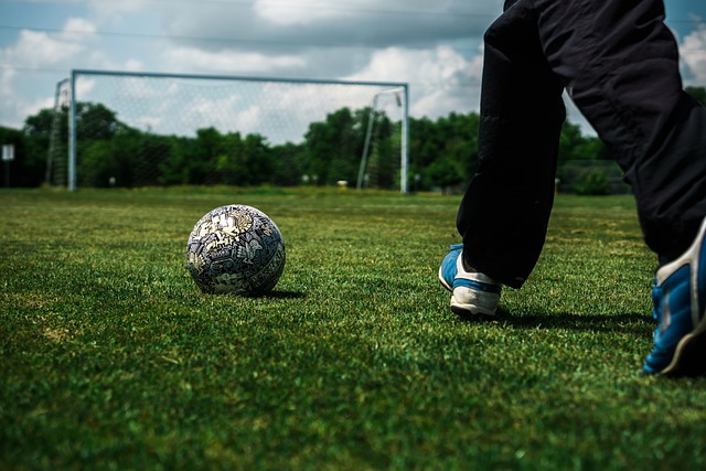 多样性成为 多样性成为