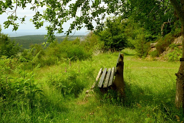 冠对于整个 冠对于整个