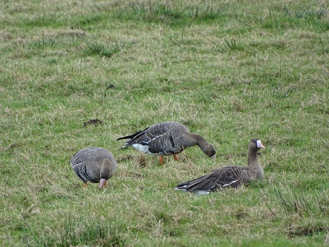 上赛季英超 上赛季英超